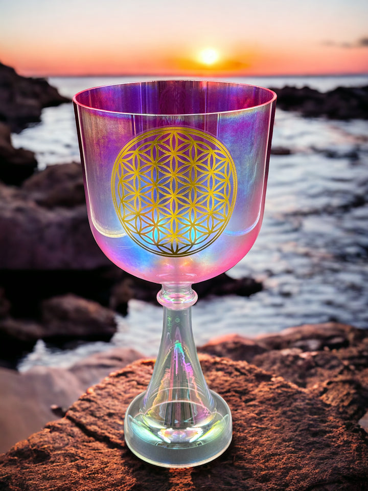 6" Fancy Pink Flower of Life 440 Hz Crystal Singing Chalice (F)